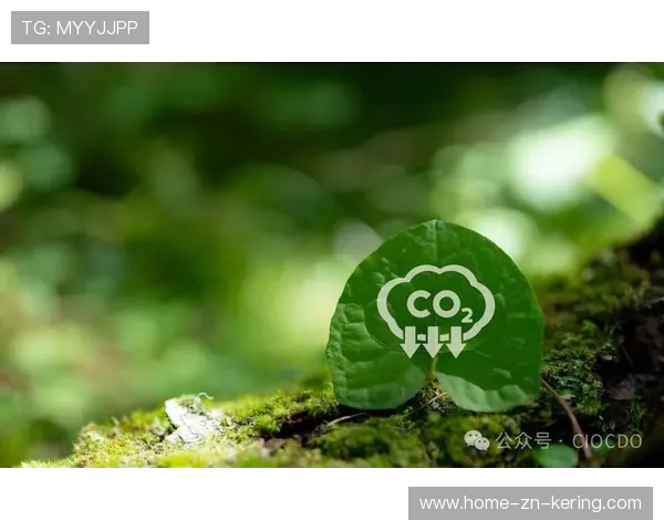 绿色行动，为绿色未来——赛事现场“绿色袋”与环保志愿行动的崭新践行